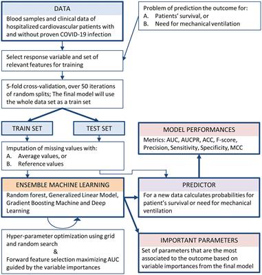 Risk stratification and prediction of severity of COVID-19 infection in patients with preexisting cardiovascular disease
